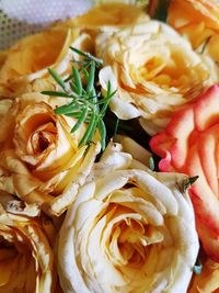 Close-up of flowers