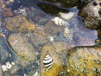 High angle view of water