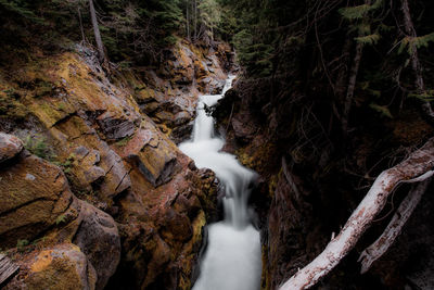 Waterfall, waterfalls, water, flowing water, creek, river, forest, mist.