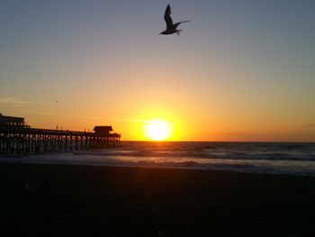 Seagull flying over beach against clear sky during sunset