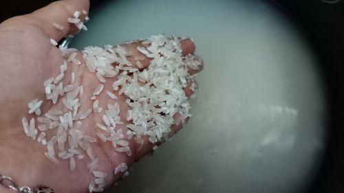 Close-up of hand holding pink flower