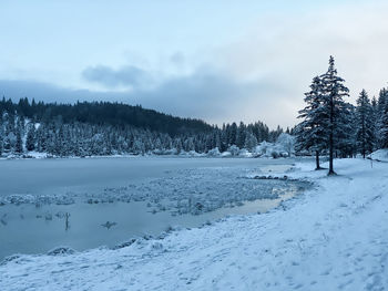 Scenic view of snow covered field against sky