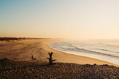 Scenic view of beach against sky during sunset