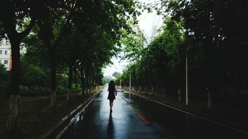 Man walking on road amidst trees