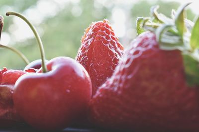 Close-up of strawberries on table