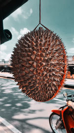 Close-up of fruit on bicycle against sky