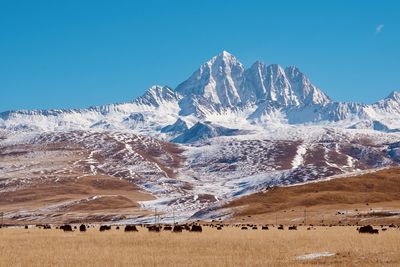 Scenic view of snowcapped mountains against clear sky