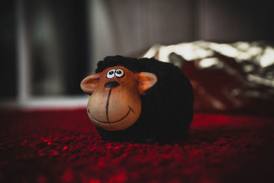 Close-up of toy on red rug at home