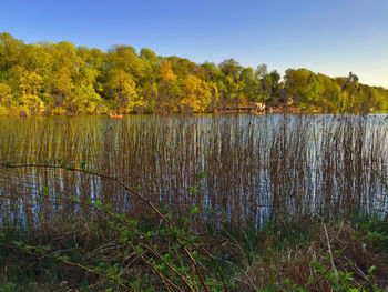 Scenic view of lake in forest against clear sky