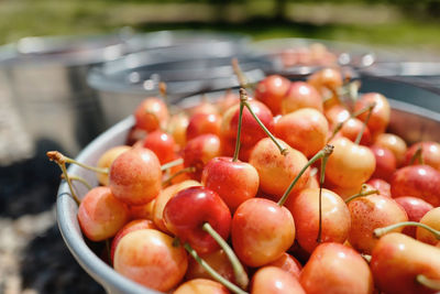 Close-up of fruits for sale at market stall