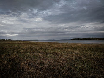 Scenic view of field against sky