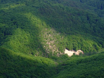 High angle view of a green landscape