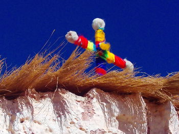 Low angle view of parrot perching on branch