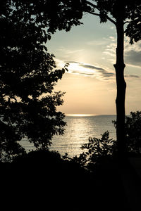 Silhouette tree by sea against sky during sunset