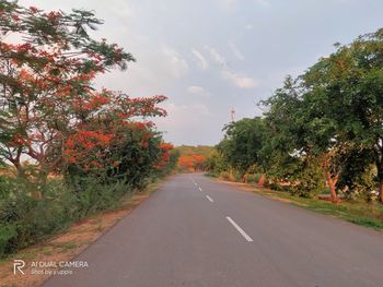 Road amidst trees against sky