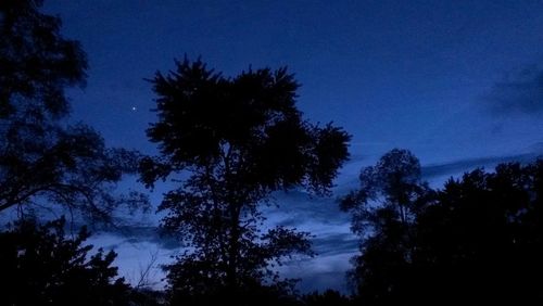 Low angle view of trees against sky