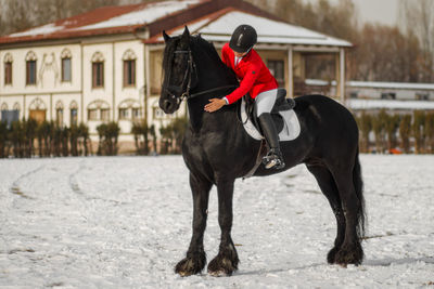 Horseriding sport