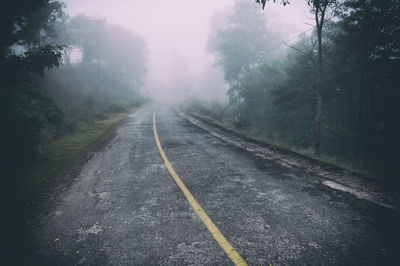 Empty road along trees