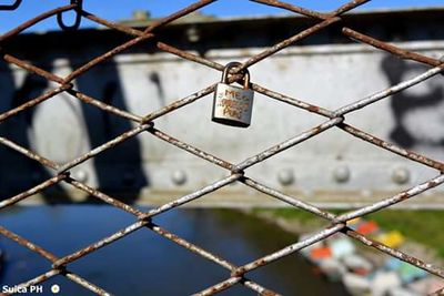 Close-up of chainlink fence