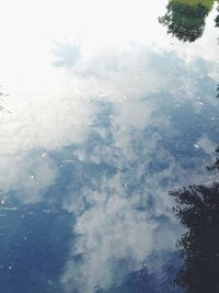 Reflection of trees in water