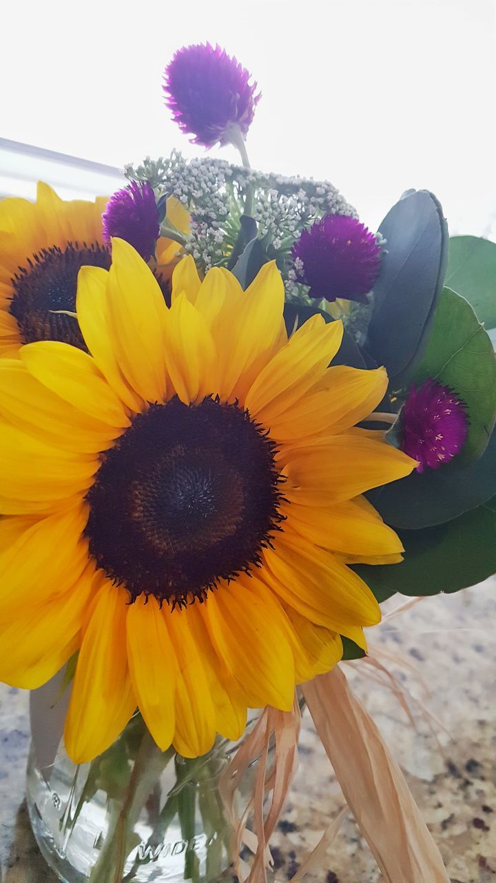 flower, petal, freshness, fragility, yellow, flower head, beauty in nature, nature, sunflower, growth, pollen, close-up, no people, blooming, outdoors, plant, day, pansy, multi colored, springtime, black-eyed susan, crocus