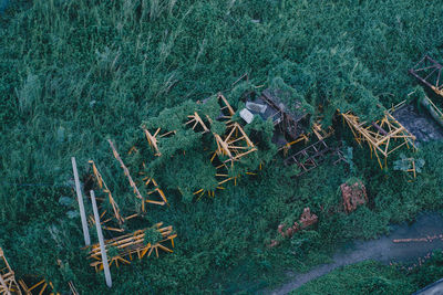 High angle view of trees growing on field