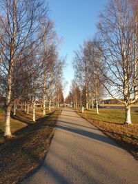 Road amidst trees against clear sky