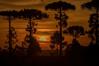 Silhouette palm trees against sky during sunset