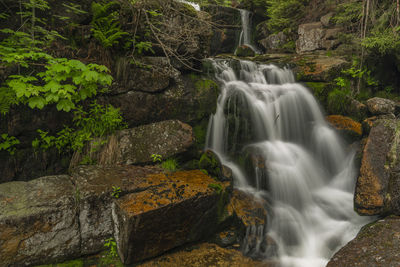 Scenic view of waterfall in forest