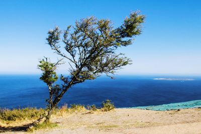 Scenic view of sea against clear blue sky