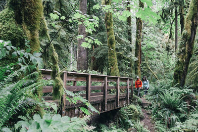 A young couple enjoys a hike on a trail in the pacific northwest.