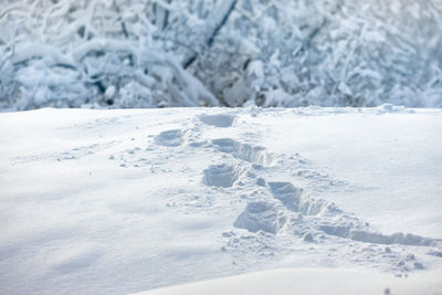 Close-up of footsteps in new snow