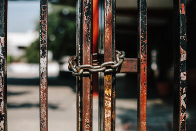 Close-up of chain on metallic gate