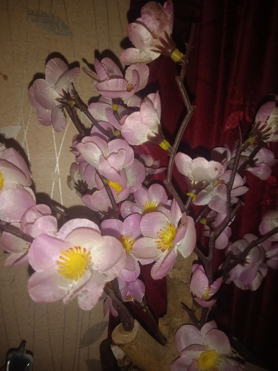 flower, flowering plant, plant, freshness, beauty in nature, floristry, pink, purple, petal, nature, fragility, indoors, flower head, no people, inflorescence, bouquet, floral design, close-up, orchid, arrangement, high angle view, flower arrangement, still life, blossom, growth, lilac