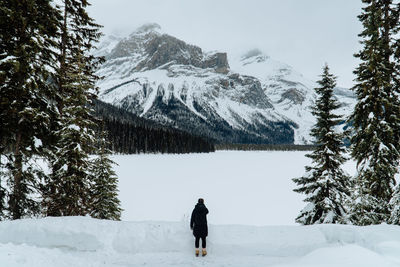 Rear view of woman standing on snow covered land