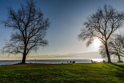 Scenic view of lake against clear blue sky