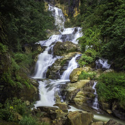 Waterfall in forest