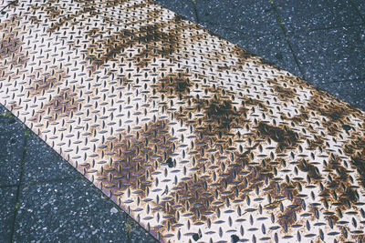 Close-up high angle view of leaf