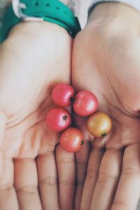 Close-up of hand holding fruit