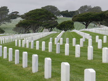 Panoramic view of cemetery