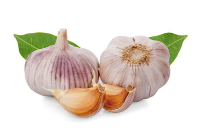 Close-up of pumpkins against white background