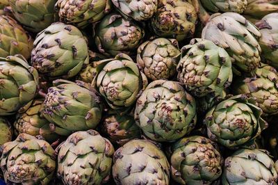 Close-up of artichokes