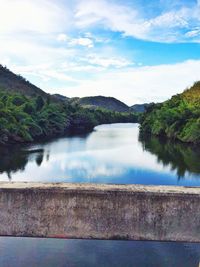 Scenic view of river amidst trees against sky