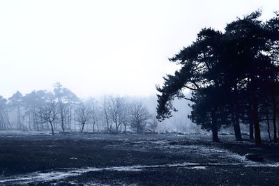 Scenic view of landscape against clear sky