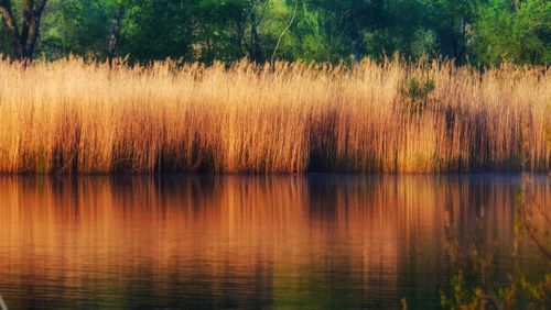 Scenic view of lake against sky