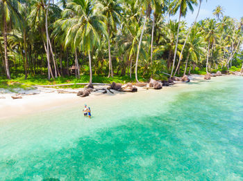 Scenic view of palm trees on beach