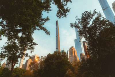 Low angle view of trees and buildings against sky