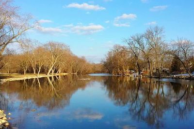 Reflection of trees in calm lake