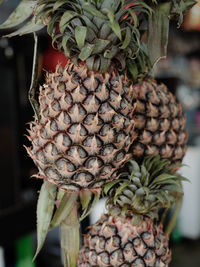 Hanging pineapple sold at the local store