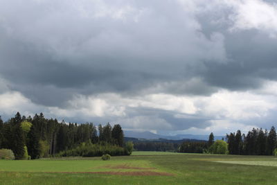 Scenic view of field against sky